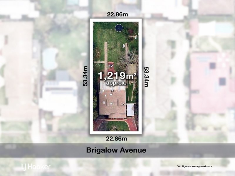 11 Brigalow Avenue, Kensington Gardens SA 5068