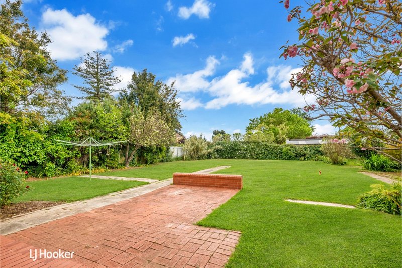 Photo - 11 Brigalow Avenue, Kensington Gardens SA 5068 - Image 14