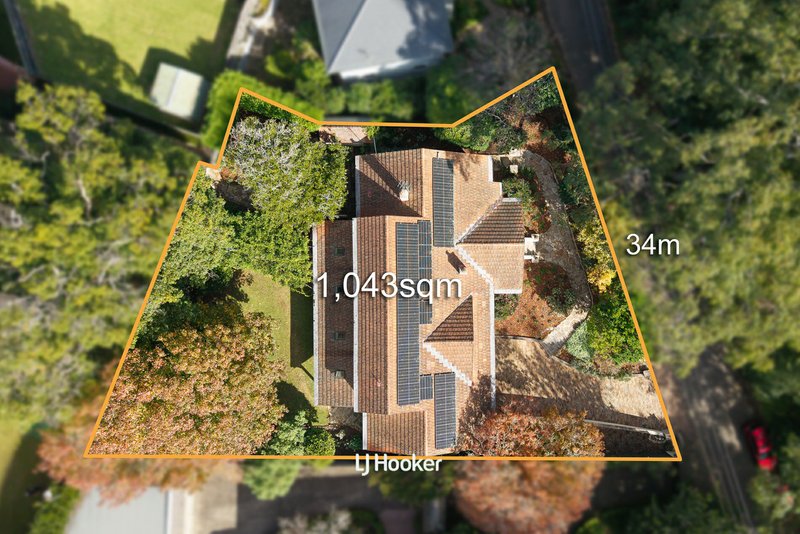 Photo - 11 Burgoyne Street, Gordon NSW 2072 - Image 19