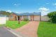 Photo - 11 Cairncross Place, Port Macquarie NSW 2444 - Image 1