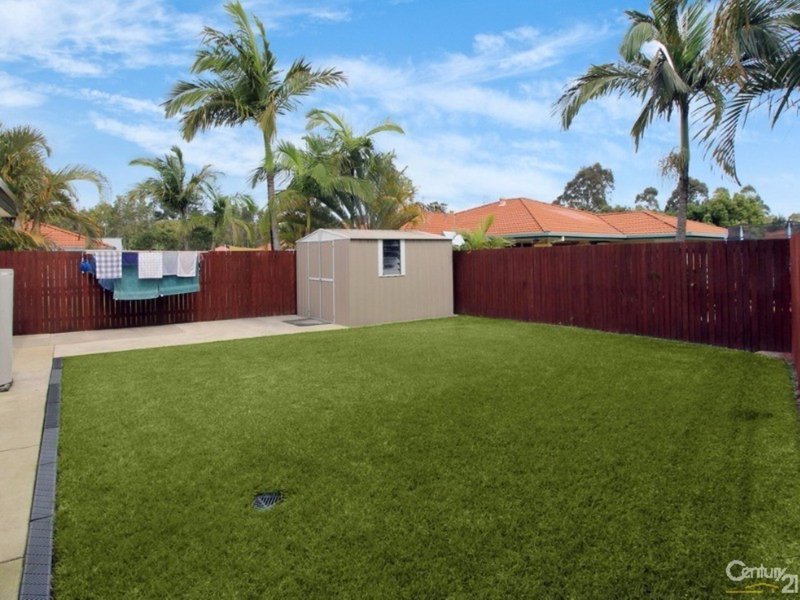 Photo - 11 Calluna Place, Mountain Creek QLD 4557 - Image 13