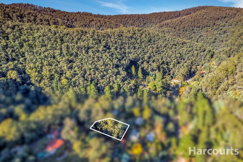 Photo - 11 Camp Hill Road, Walhalla VIC 3825 - Image 4