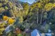 Photo - 11 Camp Hill Road, Walhalla VIC 3825 - Image 5