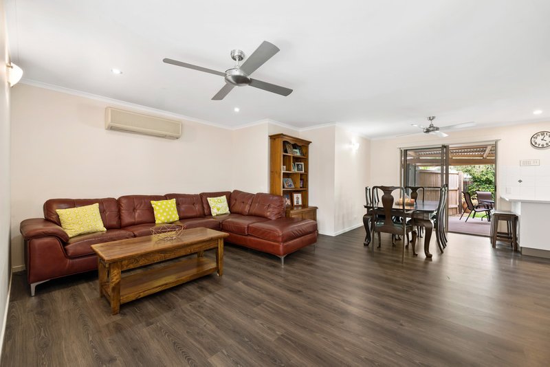 Photo - 11 Carlyle Court, Buderim QLD 4556 - Image 6