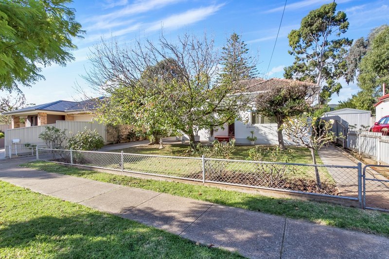 11 Carter Street, Magill SA 5072