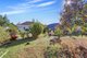 Photo - 11 Carter Street, Magill SA 5072 - Image 11