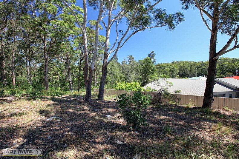 Photo - 11 Caryota Place, Forster NSW 2428 - Image 5