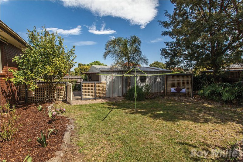 Photo - 11 Chancellor Drive, Wheelers Hill VIC 3150 - Image 14