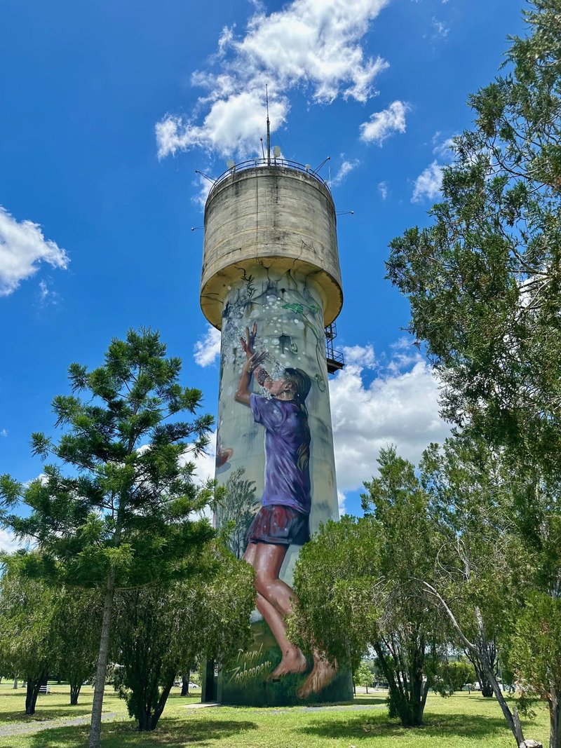 Photo - 11 Charles Darwin Drive, Monto QLD 4630 - Image 6