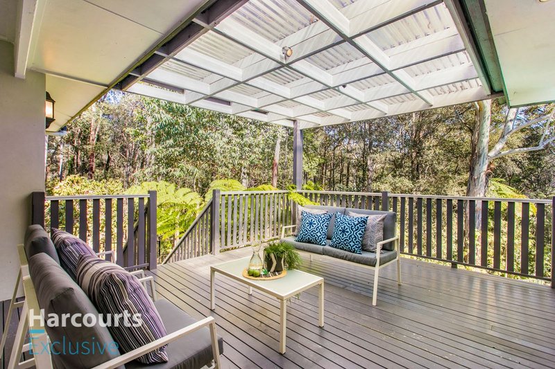 Photo - 11 Citrus Grove, Carlingford NSW 2118 - Image 9