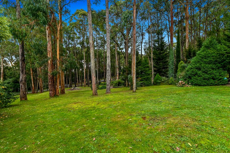 Photo - 11 Clematis Park Road, Clematis VIC 3782 - Image 30