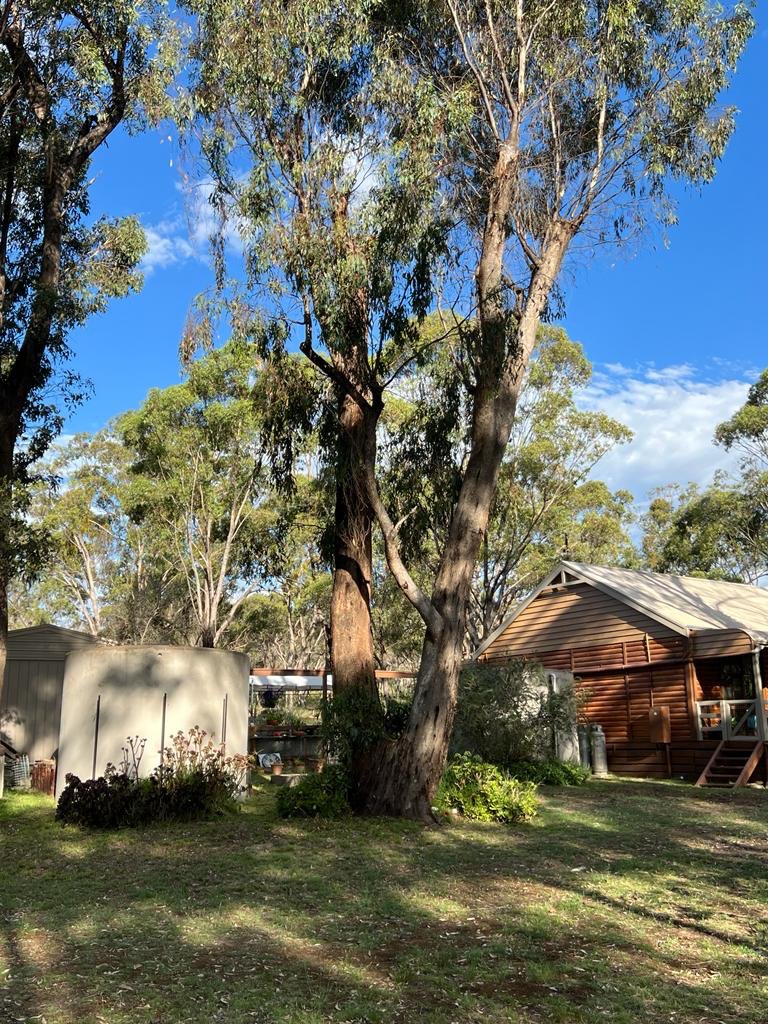 Photo - 11 Codes Lane, Heathcote VIC 3523 - Image 20