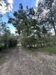 Photo - 11 Commodore Drive, South Bingera QLD 4670 - Image 15