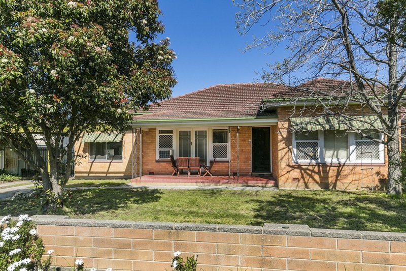 11 Condada Avenue, Park Holme SA 5043