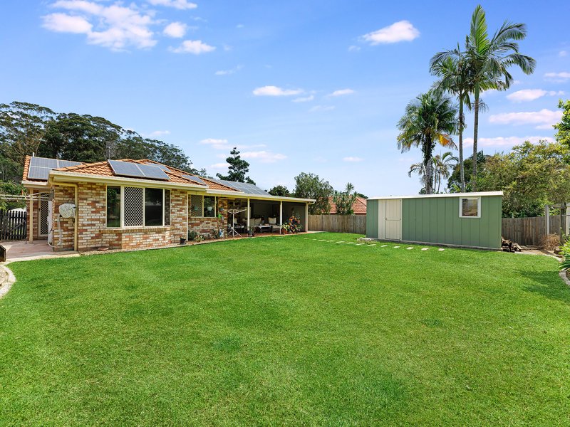 Photo - 11 Corey Court, Palmwoods QLD 4555 - Image 9