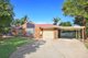 Photo - 11 Cottonwood Crt , Landsborough QLD 4550 - Image 1