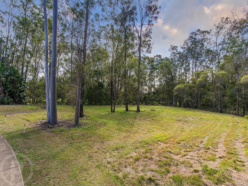 Photo - 11 Country Club Drive, Albany Creek QLD 4035 - Image 4