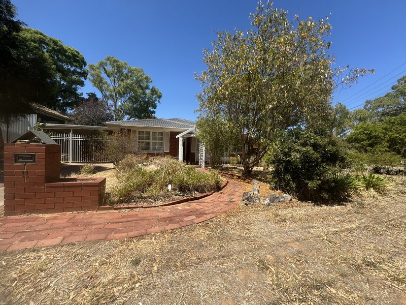 Photo - 11 Dalaston Street, Modbury SA 5092 - Image 2