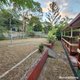 Photo - 11 Drummer Street, Toolooa QLD 4680 - Image 16