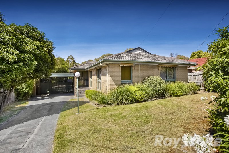 11 Ealing Court, Glen Waverley VIC 3150