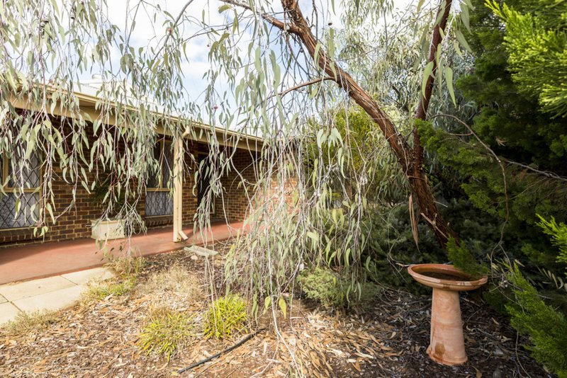 Photo - 11 Elvey Place, Usher WA 6230 - Image 3