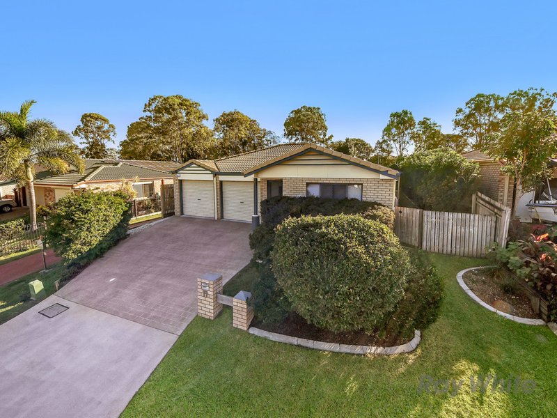 Photo - 11 Ewan Place, Bracken Ridge QLD 4017 - Image 16