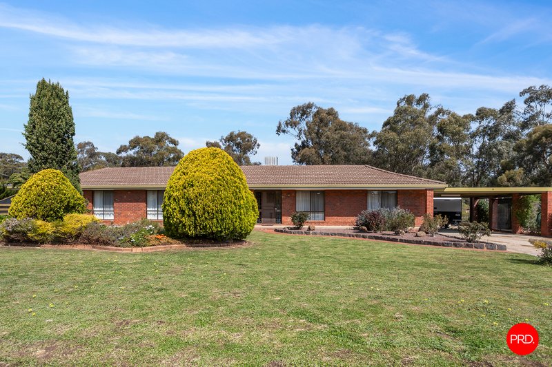 Photo - 11 Forest Drive, Ascot VIC 3551 - Image 4