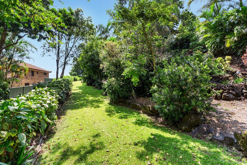 Photo - 11 Fountain Road, Buderim QLD 4556 - Image 5