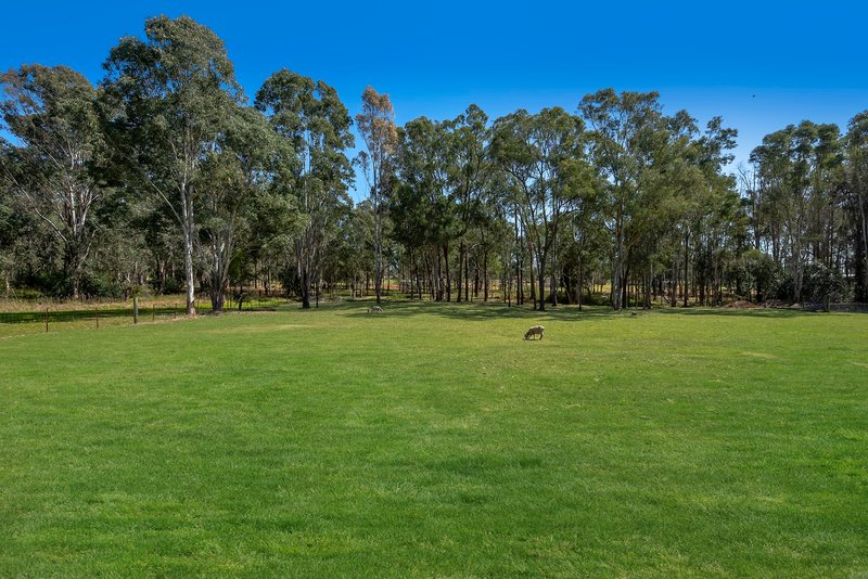 Photo - 11 Francis Street, Bringelly NSW 2556 - Image 6