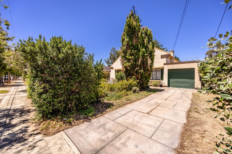 Photo - 11 Gawler Avenue, West Hindmarsh SA 5007 - Image 4