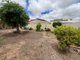 Photo - 11 Gawler Street, Kadina SA 5554 - Image 12