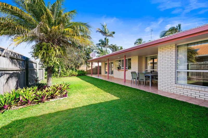 Photo - 11 Goldfinch Court, Wurtulla QLD 4575 - Image 13