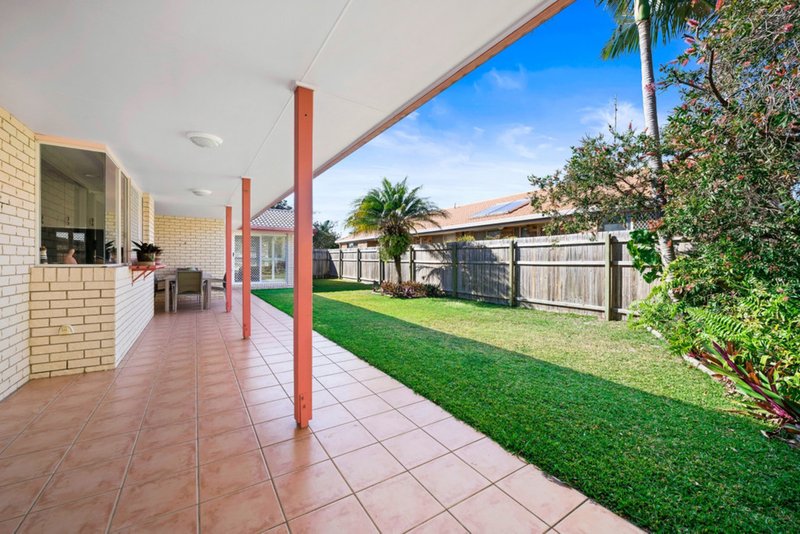 Photo - 11 Goldfinch Court, Wurtulla QLD 4575 - Image 14