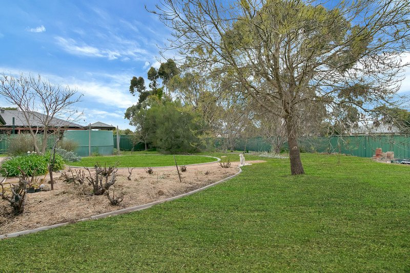 Photo - 11 Gooden Drive, Nuriootpa SA 5355 - Image 3