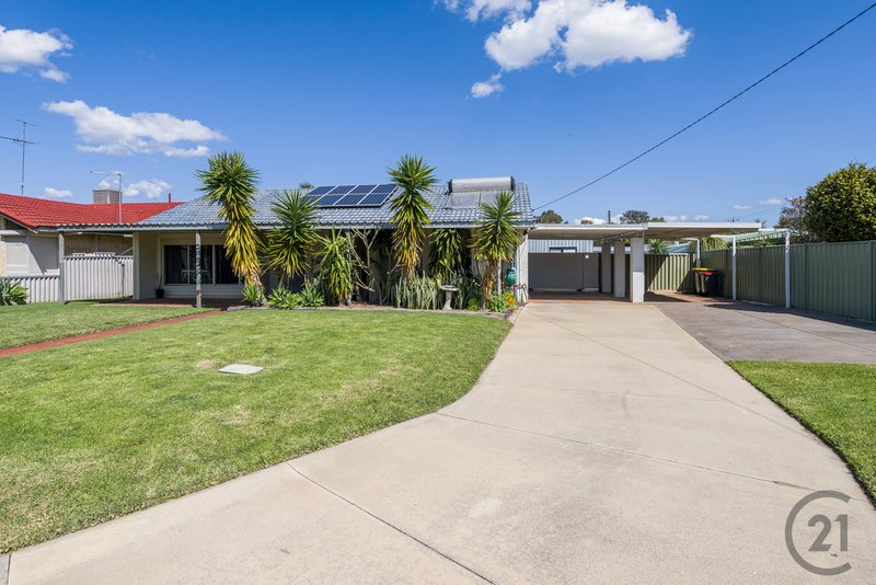 11 Grevillea Place, Pinjarra WA 6208