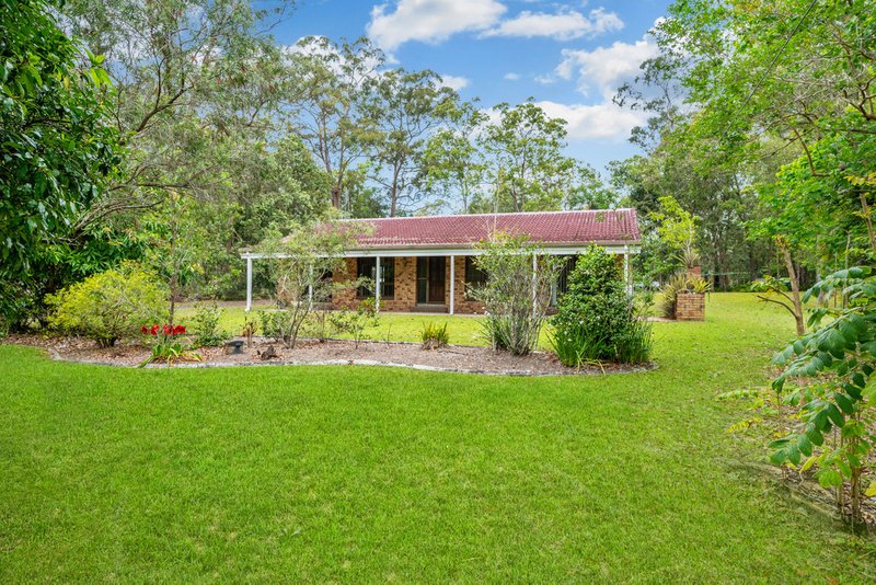 Photo - 11 Hamilton Close, Mooloolah Valley QLD 4553 - Image 3