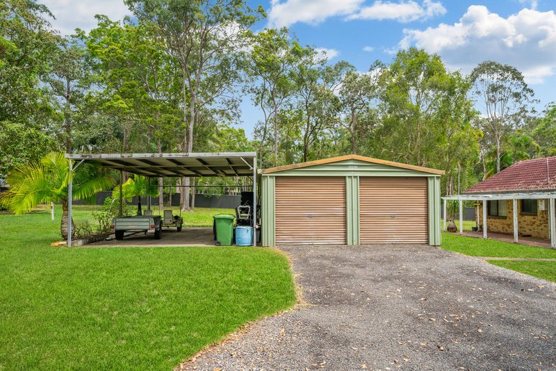 Photo - 11 Hamilton Close, Mooloolah Valley QLD 4553 - Image 4