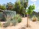 Photo - 11 Hibiscus Street, Alice Springs NT 0870 - Image 21