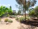 Photo - 11 Hibiscus Street, Alice Springs NT 0870 - Image 22