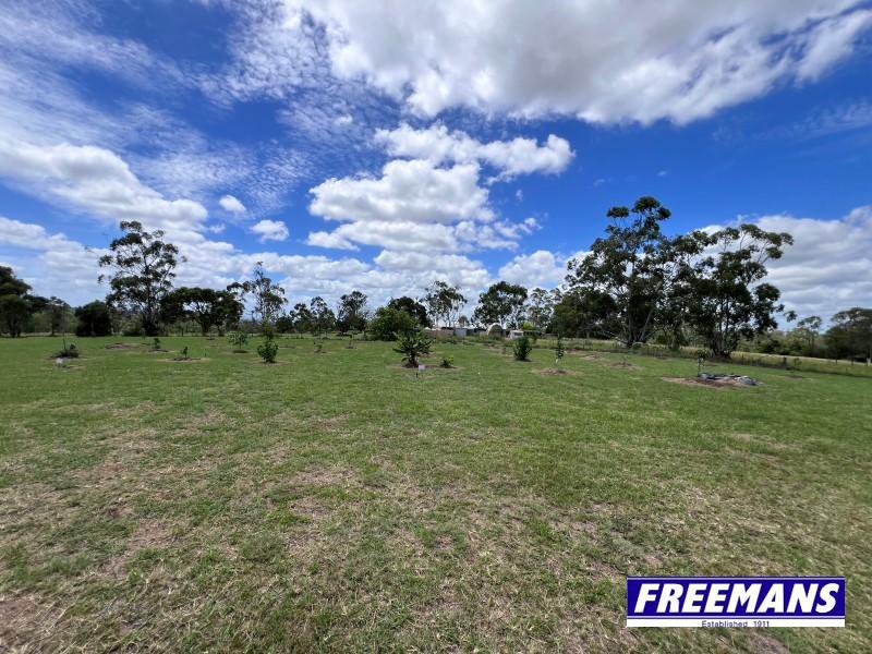 Photo - 11 Hilltop Drive, Ellesmere QLD 4610 - Image 24