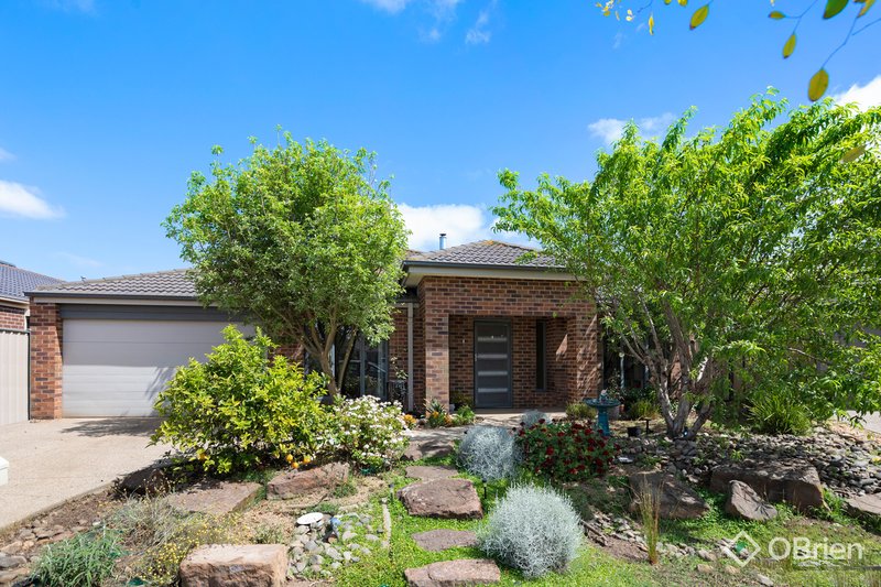 11 Hollows Circuit, Tarneit VIC 3029