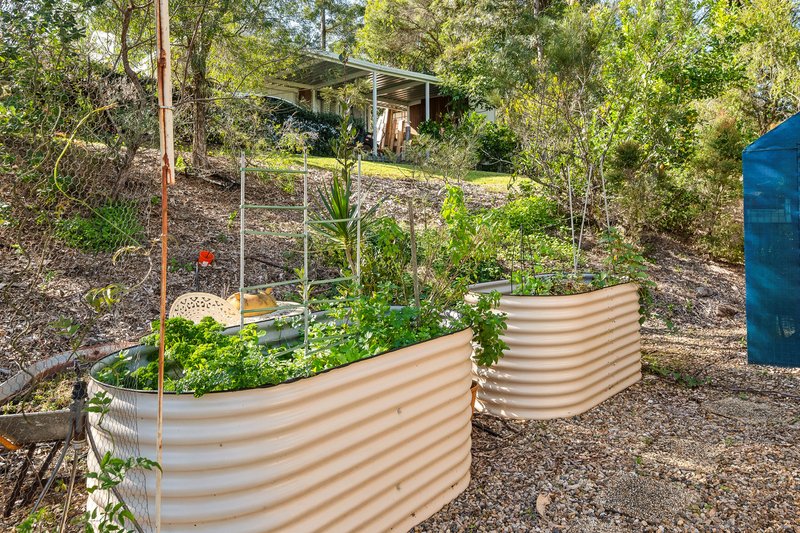 Photo - 11 Homestead Court, Dayboro QLD 4521 - Image 17