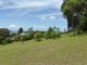 Photo - 11 Illawarra Crescent, Bennetts Head NSW 2428 - Image 5