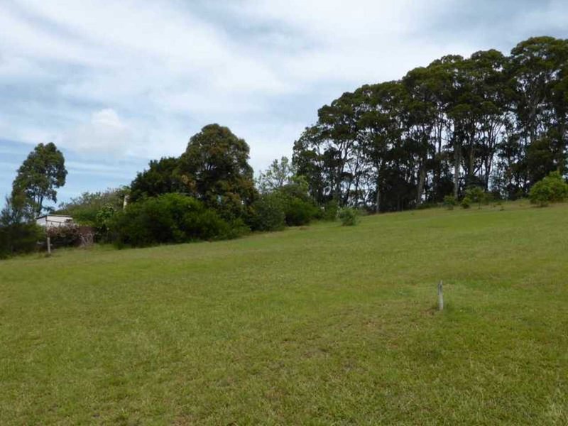 Photo - 11 Illawarra Crescent, Coomba Park NSW 2428 - Image 9