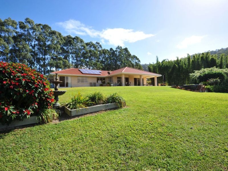 Photo - 11 Innes Way, Korora NSW 2450 - Image 19