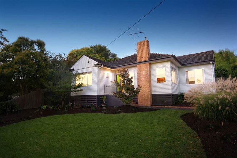 Photo - 11 Kneale Drive, Box Hill North VIC 3129 - Image 18