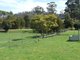 Photo - 11 Knights Road, Connellys Marsh TAS 7173 - Image 20