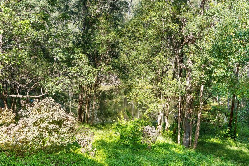 Photo - 11 Koombahla Drive, Tallebudgera QLD 4228 - Image 11
