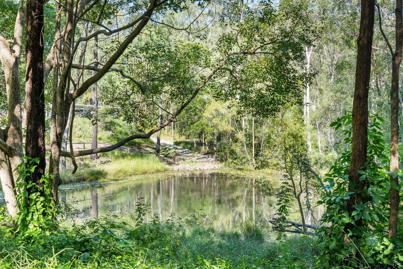 Photo - 11 Koombahla Drive, Tallebudgera QLD 4228 - Image 20