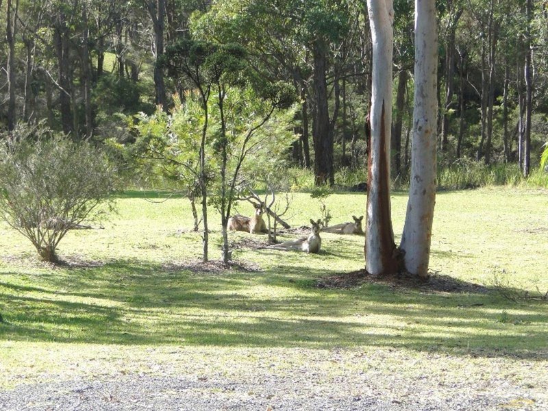 Photo - 11 Kooraru Close, Tea Gardens NSW 2324 - Image 17